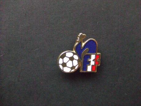 EK voetbal Frankrijk logo haan